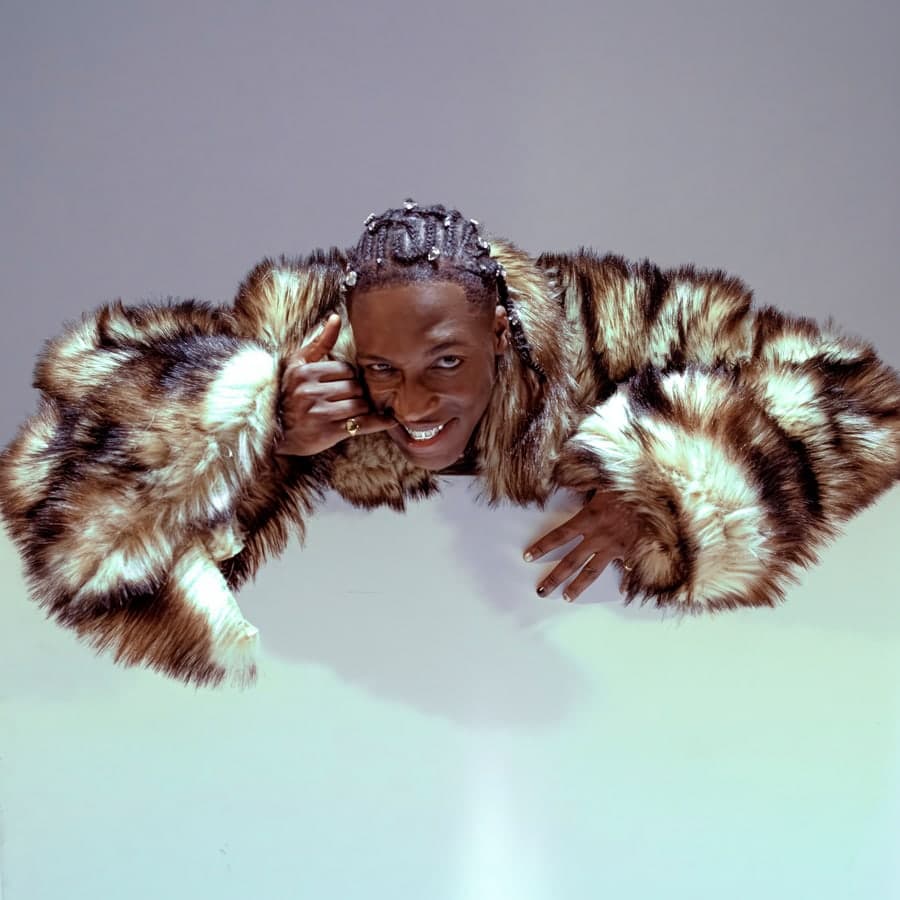 Portrait in a fur coat